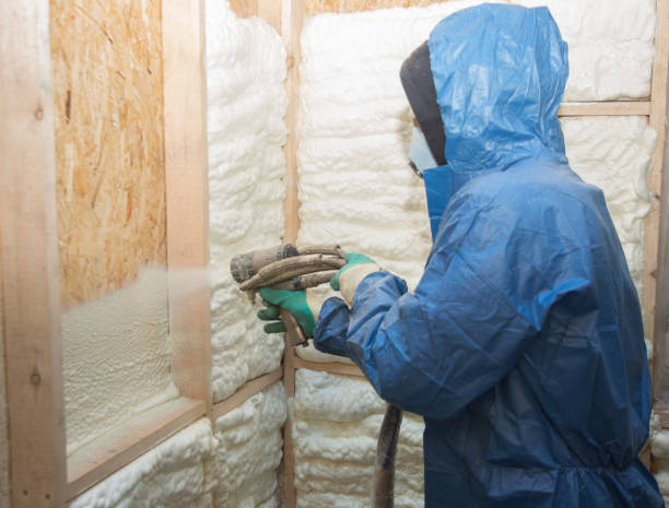 Best Blown-In Insulation  in Urbandale, IA